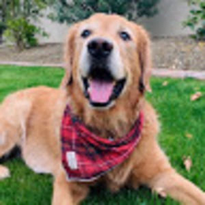 Meet your Posher, Audrey